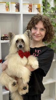 V.O.G Dog Salon, мережа грумінг-салонів фото