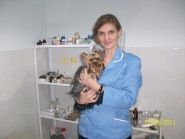 Полівет, ветеринарна клініка фото