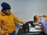 Полівет, ветеринарна клініка фото