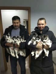 Полівет, ветеринарна клініка фото