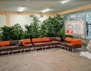 Школа №35 фото