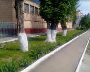 Школа №20 фото