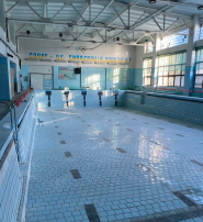 Дельфін, басейн на відкритому повітрі фото