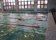 Дельфін, басейн на відкритому повітрі фото