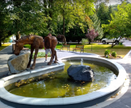 Квітка полонини, санаторій фото