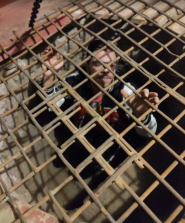 Адреналін, квест-кімнати фото