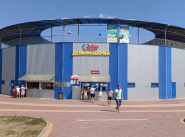 Оскар, дельфинарий фото