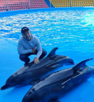 Оскар, дельфинарий фото