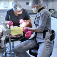 Dental Clinic Knysh O. M, стоматологія фото