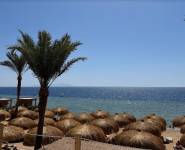 Coral Travel, турагентство фото