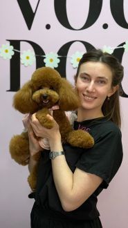 V.O.G Dog Salon, мережа грумінг-салонів фото