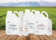 Мультичем фото