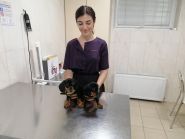 На Робочій, ветеринарна клініка На Робочій, ветеринарна клініка фото