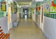 Ветеринарный кабинет на Герасима Кондратьева фото