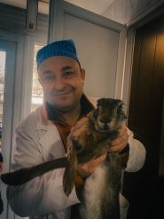 У Валери, ветеринарна клініка фото