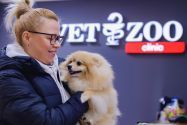 Vetzoo clinic, ветеринарна клініка фото