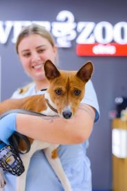 Vetzoo clinic, ветеринарна клініка фото