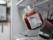 Vet House, ветеринарний центр фото