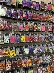 Садочок, господарський магазин фото