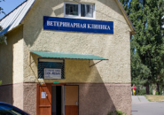 Слон і Моська, ветеринарна клініка фото