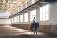 Конно-спортивная школа Авангард, школа верховой езды фото