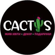 Cactus, магазин квітів - фото 2