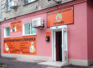 КітПес, ветеринарна клініка фото