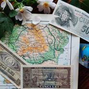 Віза, бюро технічних та літературних перекладів фото