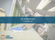 Стоп! Кукарача, служба дезинфекции фото