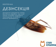 Стоп! Кукарача, служба дезинфекции фото