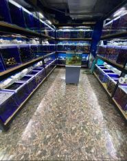 Живой уголок, зоомагазин фото