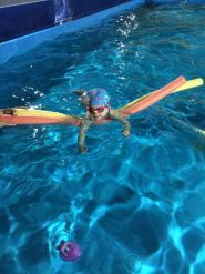 Joy Pool Pool, басейн фото