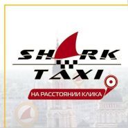 Логотип Shark Taxi, сужба такси г. Житомир