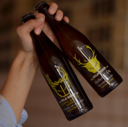 Bottle bar, бар фото