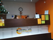 Citrus, бассейн фото