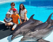 Дельфінарій Оскар фото