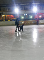 Ледовая площадка, развлекательный центр фото