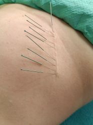 Патріот, дитячий спортивно-оздоровчий клуб фото