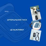 Гранд Плюс, ветеринарный центр фото