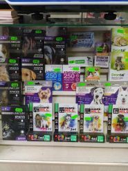 Бульдог, ветеринарна клініка та аптека фото