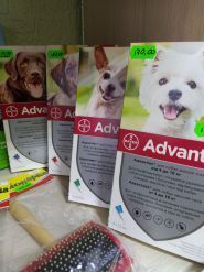 Бульдог, ветеринарна клініка та аптека фото