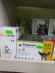 Бульдог, ветеринарна клініка та аптека фото