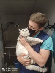 Пес і Кіт, ветеринарна клініка фото