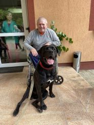 Бабусін Дім, пансіонат для літніх людей фото