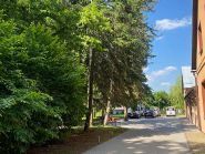 Дерево життя, пансіонат для людей похилого віку фото