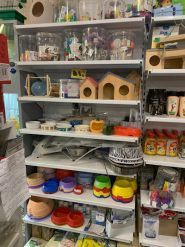 Пітон, зоомагазин фото