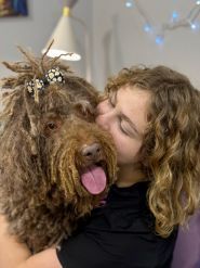 V.O.G Dog Salon, сеть груминг-салонов фото