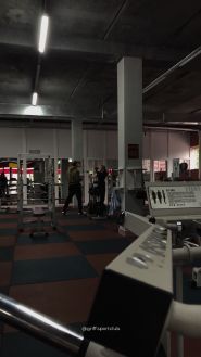 Грифф, спортивний клуб фото