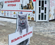 Nosivka, ветеринарна аптека фото