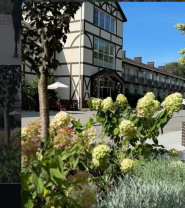 Тамерлан, кінний клуб фото